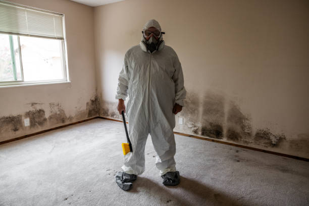 Asbestos and Lead Testing During Mold Inspection in Brooklyn, OH